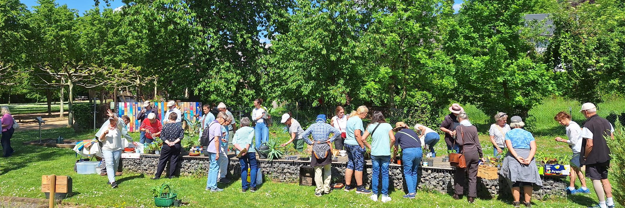 Bei strahlendem Sonnenschein kamen zahlreiche Natur- und Pflanzenliebhaber zusammen, um sich auszutauschen und neue Pflanzen für den heimischen Garten zu entdecken.
