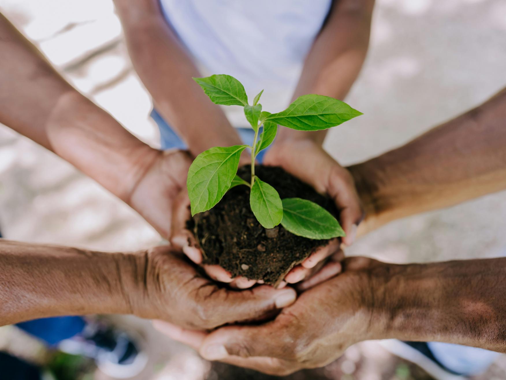 Slider_Patenschaften-Spenden_getty-images-XcDJi9pF_k0-unsplash
