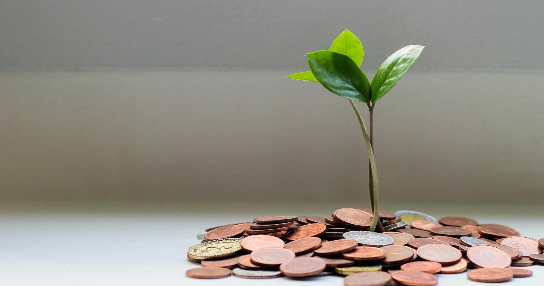 Stark an Rhein, Mosel, Ahr!