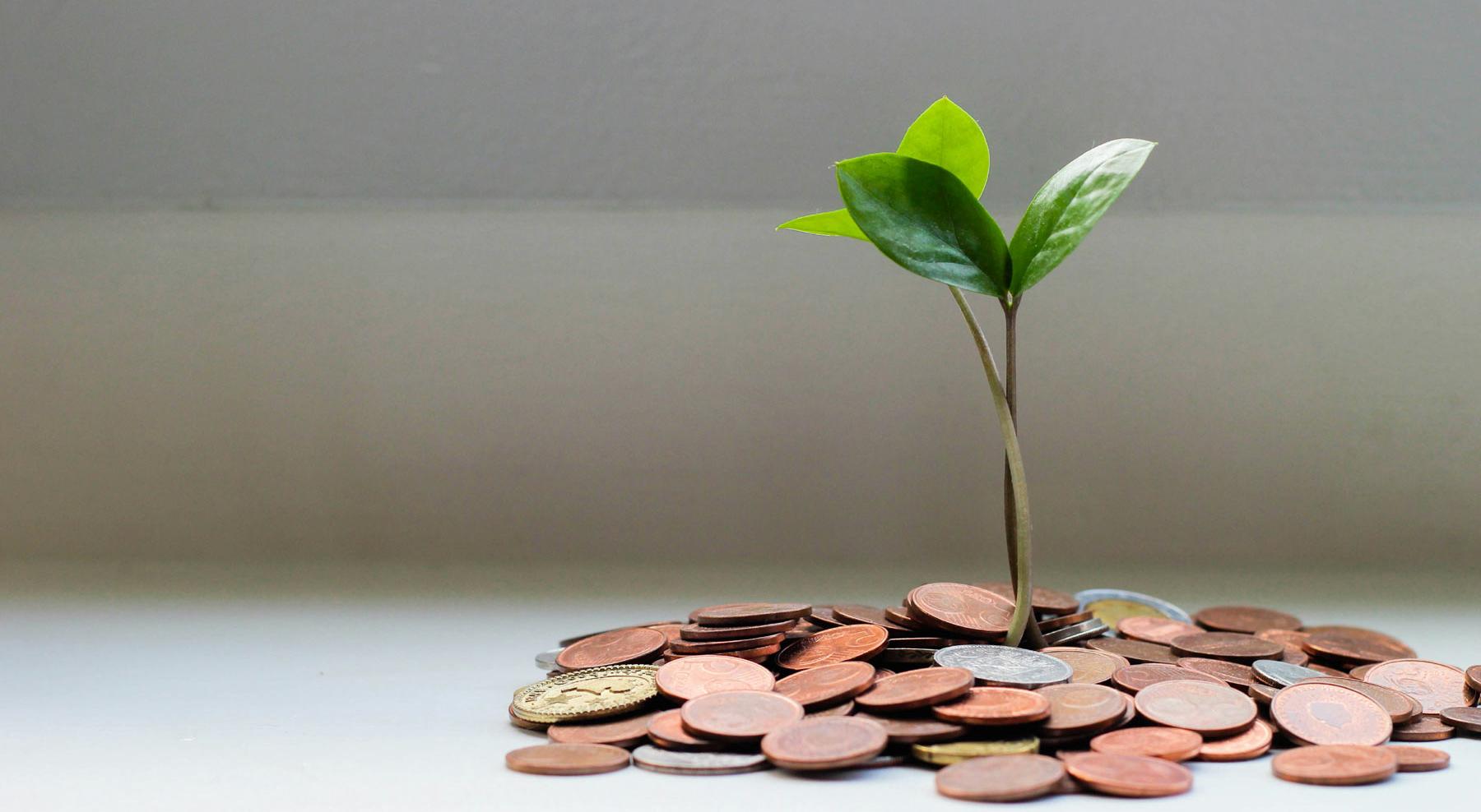 Stark an Rhein, Mosel, Ahr!