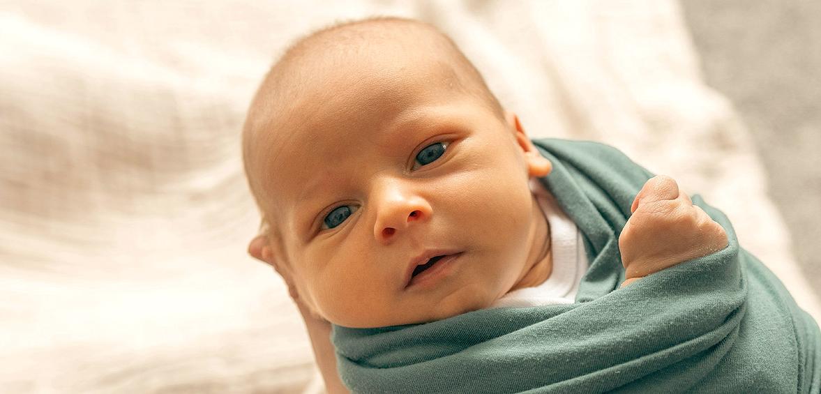 Stark an Rhein, Mosel, Ahr!